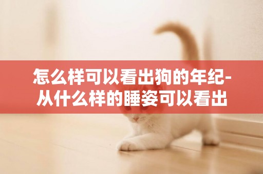 怎么樣可以看出狗的年紀-從什么樣的睡姿可以看出