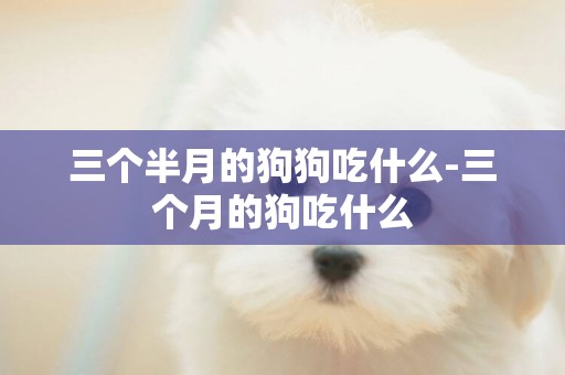 三個半月的狗狗吃什么-三個月的狗吃什么