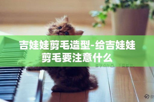 吉娃娃剪毛造型-給吉娃娃剪毛要注意什么