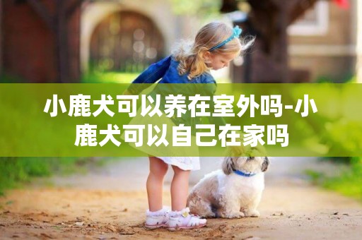 小鹿犬可以養在室外嗎-小鹿犬可以自己在家嗎