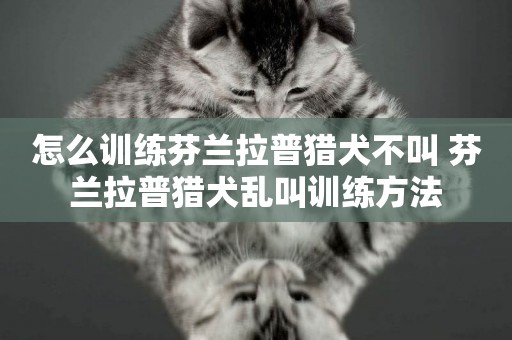 怎么訓練芬蘭拉普獵犬不叫 芬蘭拉普獵犬亂叫訓練方法