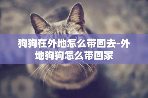 狗狗在外地怎么帶回去-外地狗狗怎么帶回家