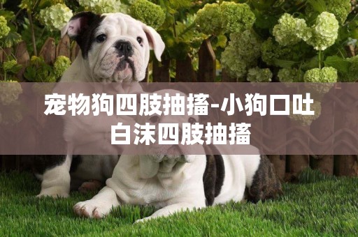 寵物狗四肢抽搐-小狗口吐白沫四肢抽搐