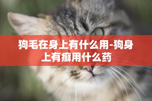 狗毛在身上有什么用-狗身上有癬用什么藥