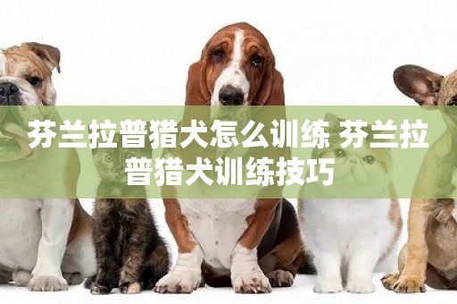 芬蘭拉普獵犬怎么訓練 芬蘭拉普獵犬訓練技巧