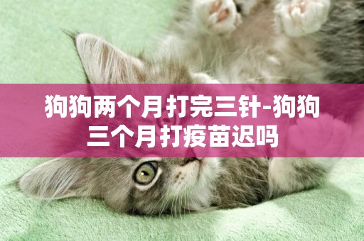 狗狗兩個月打完三針-狗狗三個月打疫苗遲嗎