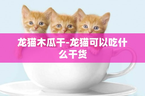 龍貓木瓜干-龍貓可以吃什么干貨