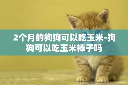 2個月的狗狗可以吃玉米-狗狗可以吃玉米棒子嗎