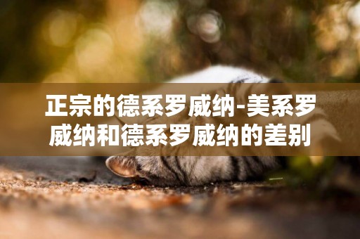 正宗的德系羅威納-美系羅威納和德系羅威納的差別