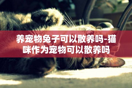 養寵物兔子可以散養嗎-貓咪作為寵物可以散養嗎