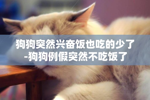 狗狗突然興奮飯也吃的少了-狗狗例假突然不吃飯了