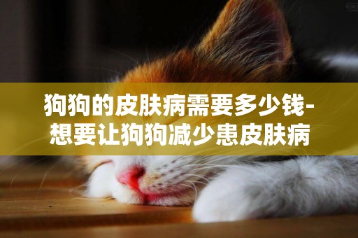狗狗的皮膚病需要多少錢-想要讓狗狗減少患皮膚病