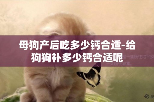 母狗產后吃多少鈣合適-給狗狗補多少鈣合適呢