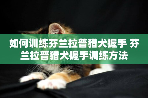 如何訓練芬蘭拉普獵犬握手 芬蘭拉普獵犬握手訓練方法