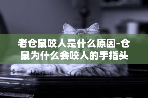 老倉鼠咬人是什么原因-倉鼠為什么會咬人的手指頭