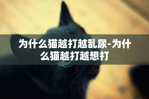 為什么貓越打越亂尿-為什么貓越打越想打