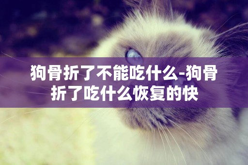 狗骨折了不能吃什么-狗骨折了吃什么恢復的快