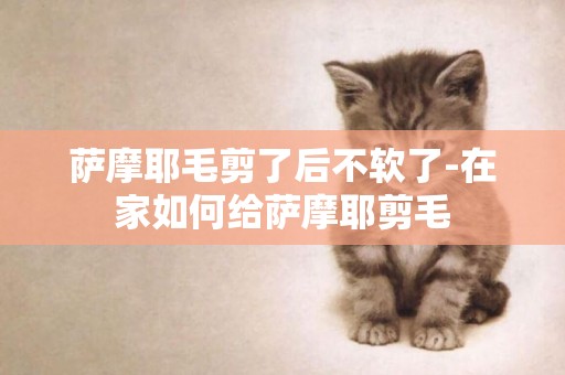 薩摩耶毛剪了后不軟了-在家如何給薩摩耶剪毛