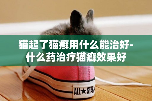 貓起了貓癬用什么能治好-什么藥治療貓癬效果好