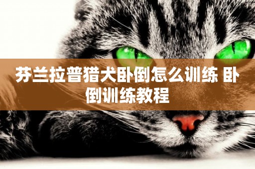 芬蘭拉普獵犬臥倒怎么訓練 臥倒訓練教程