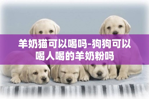 羊奶貓可以喝嗎-狗狗可以喝人喝的羊奶粉嗎