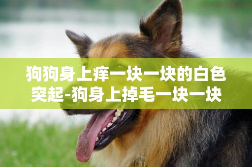狗狗身上癢一塊一塊的白色突起-狗身上掉毛一塊一塊的是怎么回事