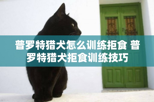 普羅特獵犬怎么訓練拒食 普羅特獵犬拒食訓練技巧