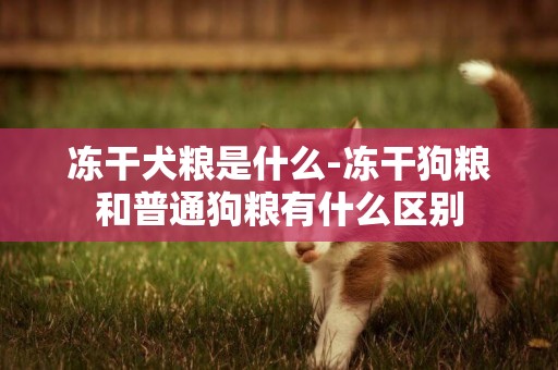 凍干犬糧是什么-凍干狗糧和普通狗糧有什么區別
