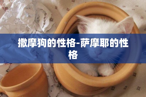 撒摩狗的性格-薩摩耶的性格
