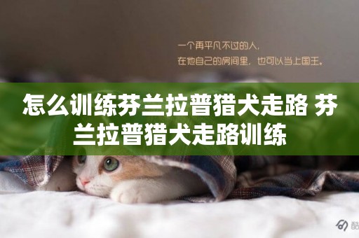 怎么訓練芬蘭拉普獵犬走路 芬蘭拉普獵犬走路訓練