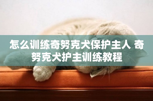 怎么訓練奇努克犬保護主人 奇努克犬護主訓練教程