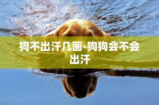 狗不出汗幾畫-狗狗會不會出汗
