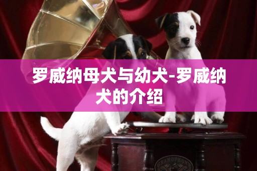 羅威納母犬與幼犬-羅威納犬的介紹