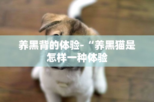 養黑背的體驗-“養黑貓是怎樣一種體驗