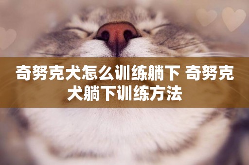 奇努克犬怎么訓練躺下 奇努克犬躺下訓練方法