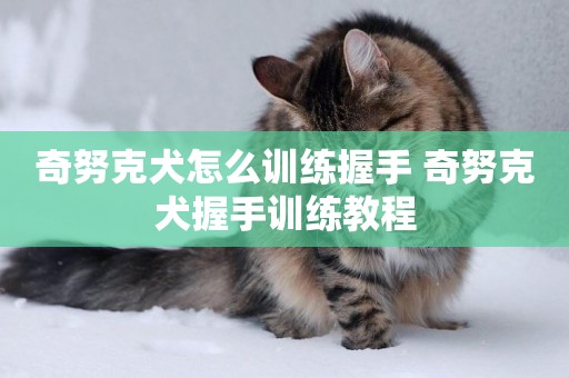 奇努克犬怎么訓練握手 奇努克犬握手訓練教程
