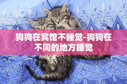狗狗在賓館不睡覺-狗狗在不同的地方睡覺