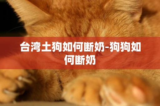 臺灣土狗如何斷奶-狗狗如何斷奶