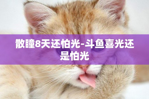 散瞳8天還怕光-斗魚喜光還是怕光