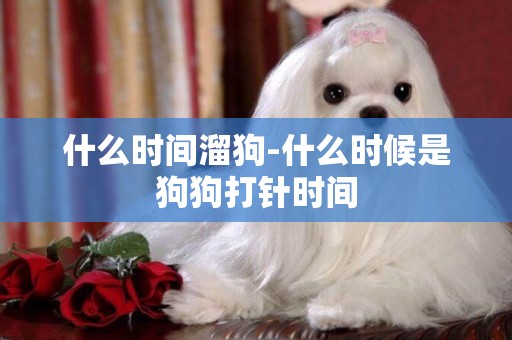 什么時間溜狗-什么時候是狗狗打針時間
