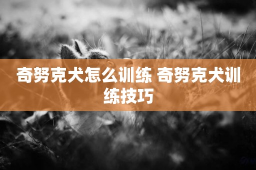 奇努克犬怎么訓練 奇努克犬訓練技巧