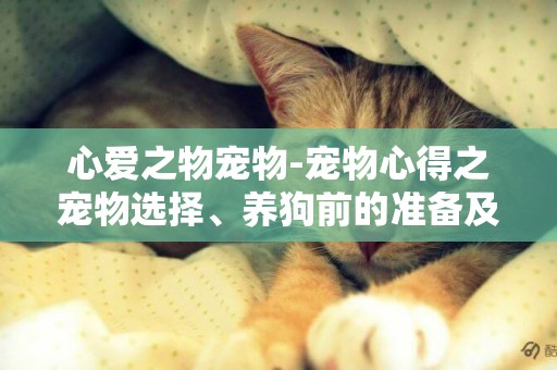心愛之物寵物-寵物心得之寵物選擇、養狗前的準備及注意事項