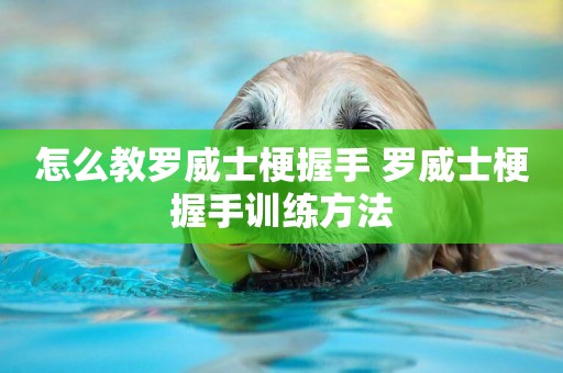 怎么教羅威士梗握手 羅威士梗握手訓練方法