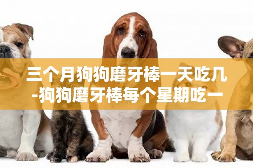 三個月狗狗磨牙棒一天吃幾-狗狗磨牙棒每個星期吃一次