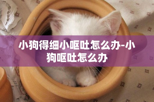 小狗得細小嘔吐怎么辦-小狗嘔吐怎么辦