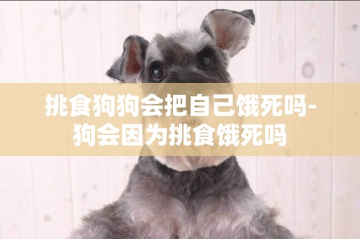 挑食狗狗會把自己餓死嗎-狗會因為挑食餓死嗎
