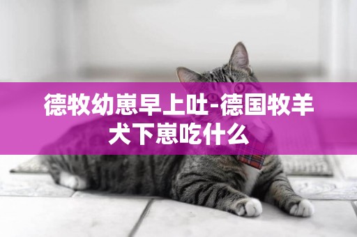 德牧幼崽早上吐-德國牧羊犬下崽吃什么