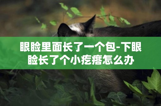 眼瞼里面長了一個包-下眼瞼長了個小疙瘩怎么辦
