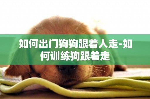 如何出門狗狗跟著人走-如何訓練狗跟著走