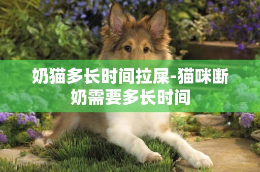 奶貓多長時間拉屎-貓咪斷奶需要多長時間
